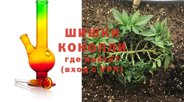 спайс Алзамай