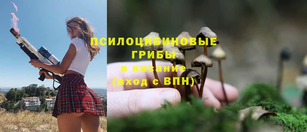 спайс Алзамай