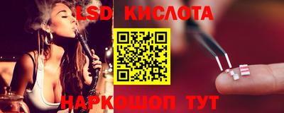стафф Волгодонск