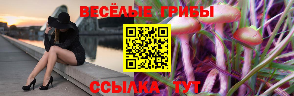 Кулебаки  Псилоцибиновые грибы мухоморы  Вход с VPN 